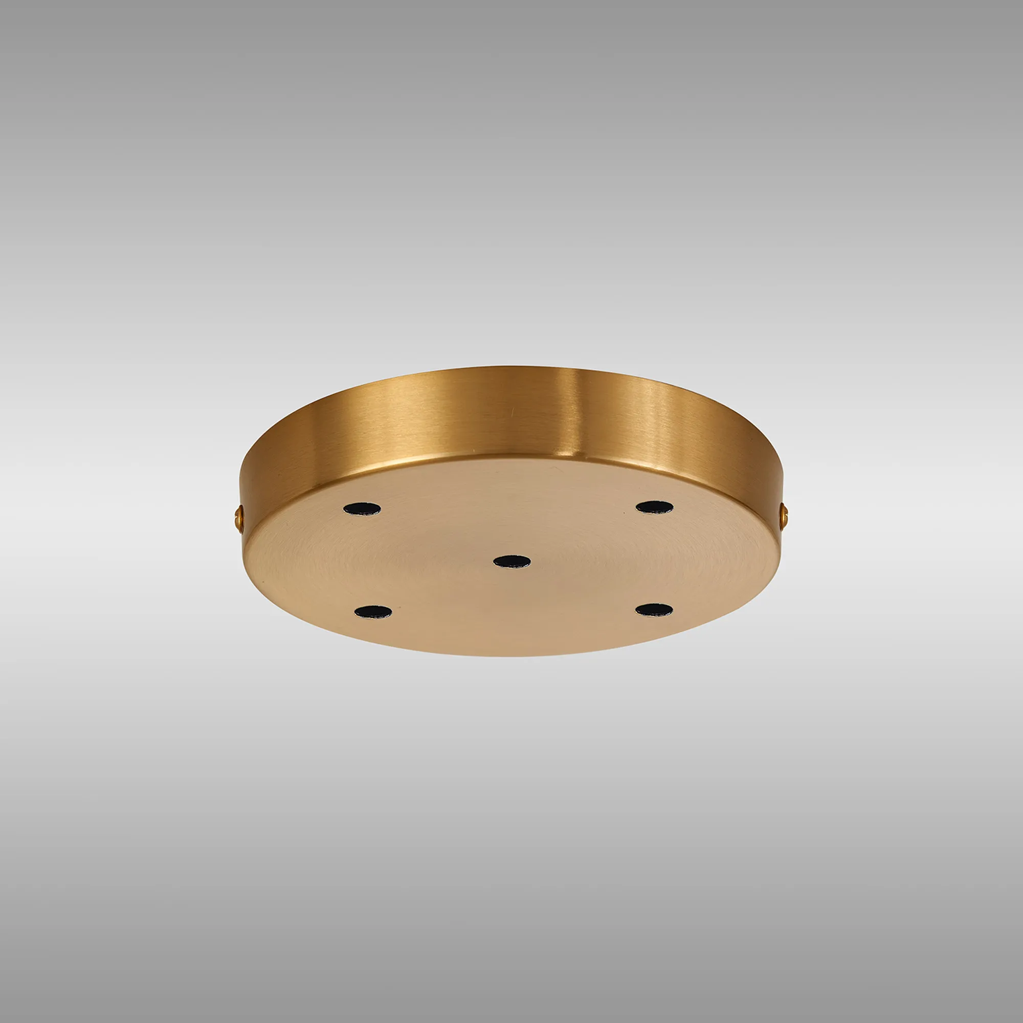 Hayes 5 Hole 15cm Round Ceiling Plate Brass D0828BR  Deco Hayes Brass